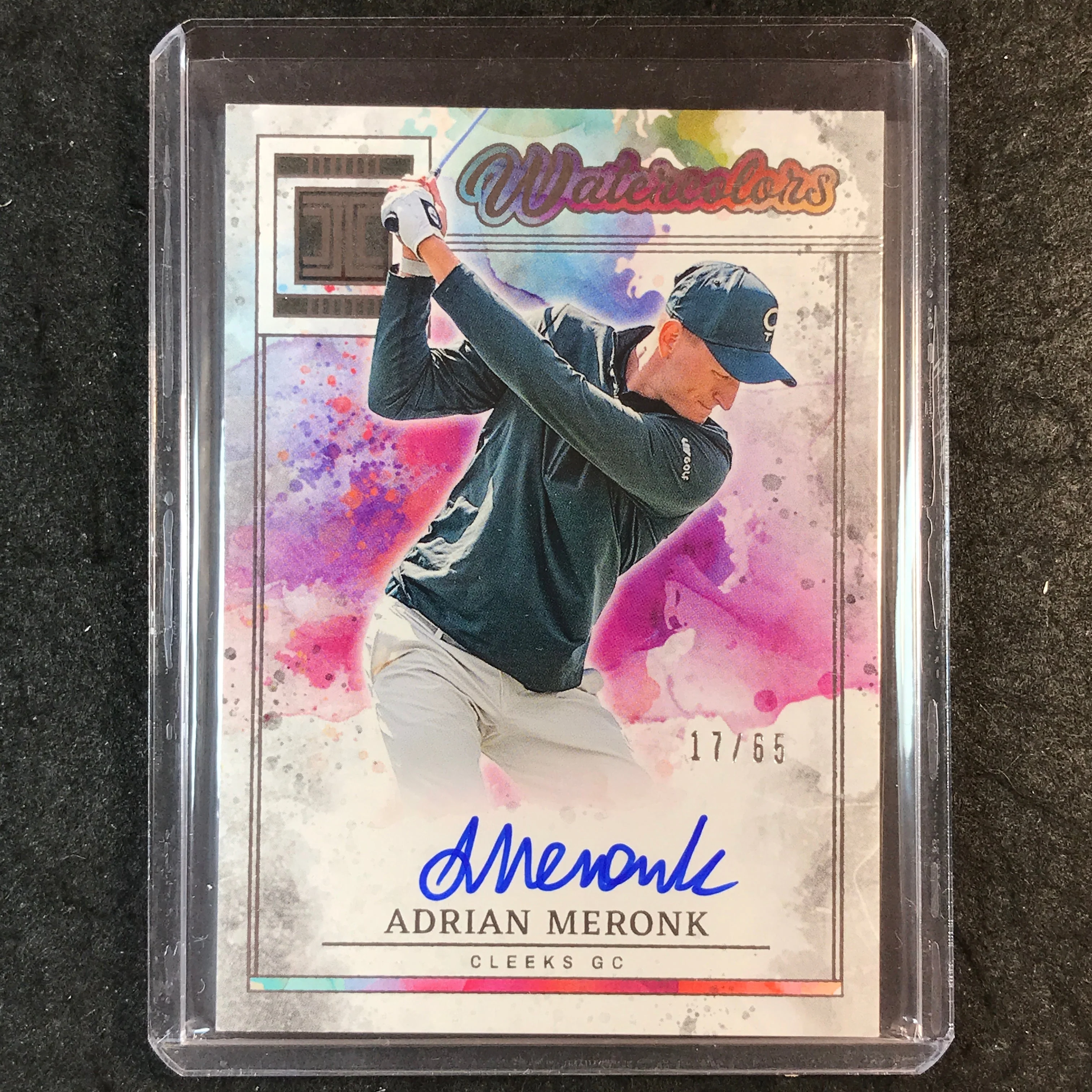 2025 Impeccable LIV Golf ADRIAN MERONK Watercolors Signatures Auto 17/65