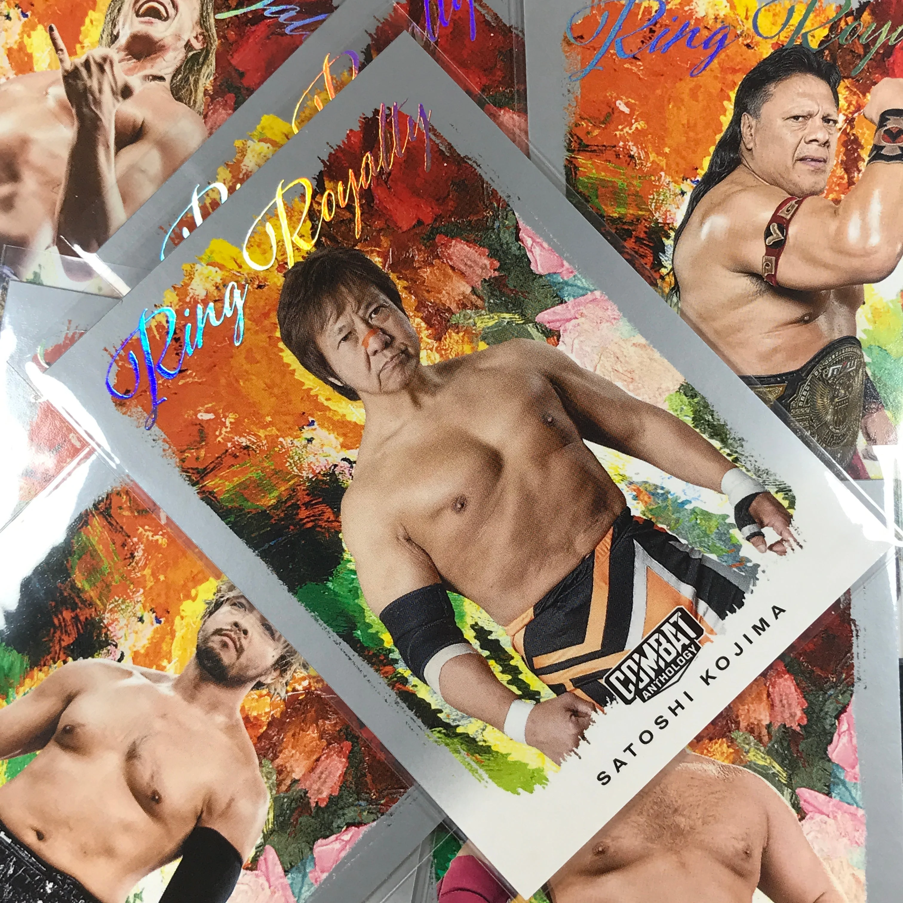2025 PFL Combat Anthology DONOVAN DIJAK Ring Royalty Silver #18